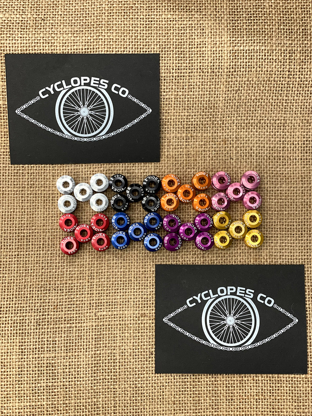 Ridea Chain Ring Bolts